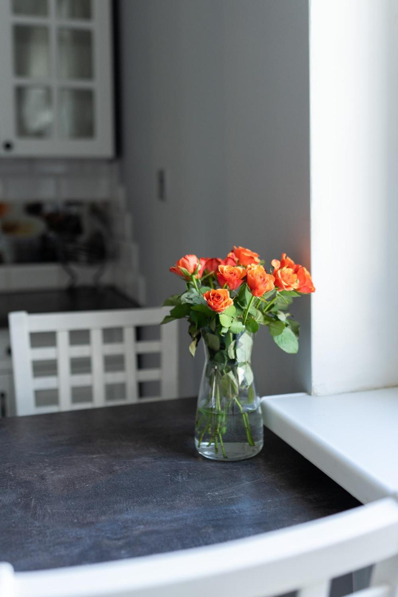Apartament Na Polnej Chełmno Exteriér fotografie